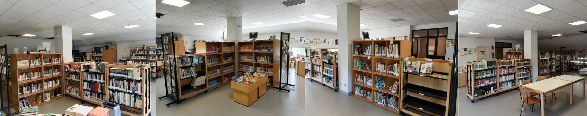BIBLIOTECA CIVICA DI SALUSSOLA